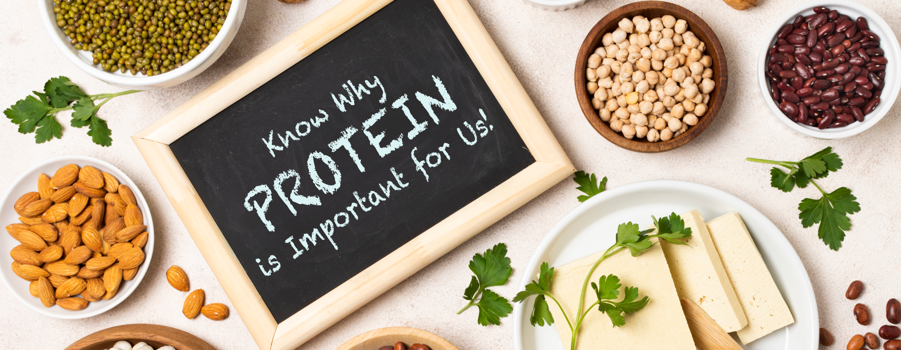 Know Why Protein is Important for Us!