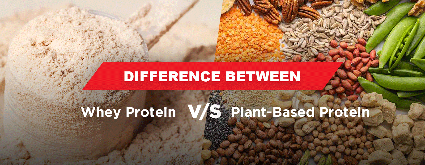 What is the difference between whey protein and what is plant protein