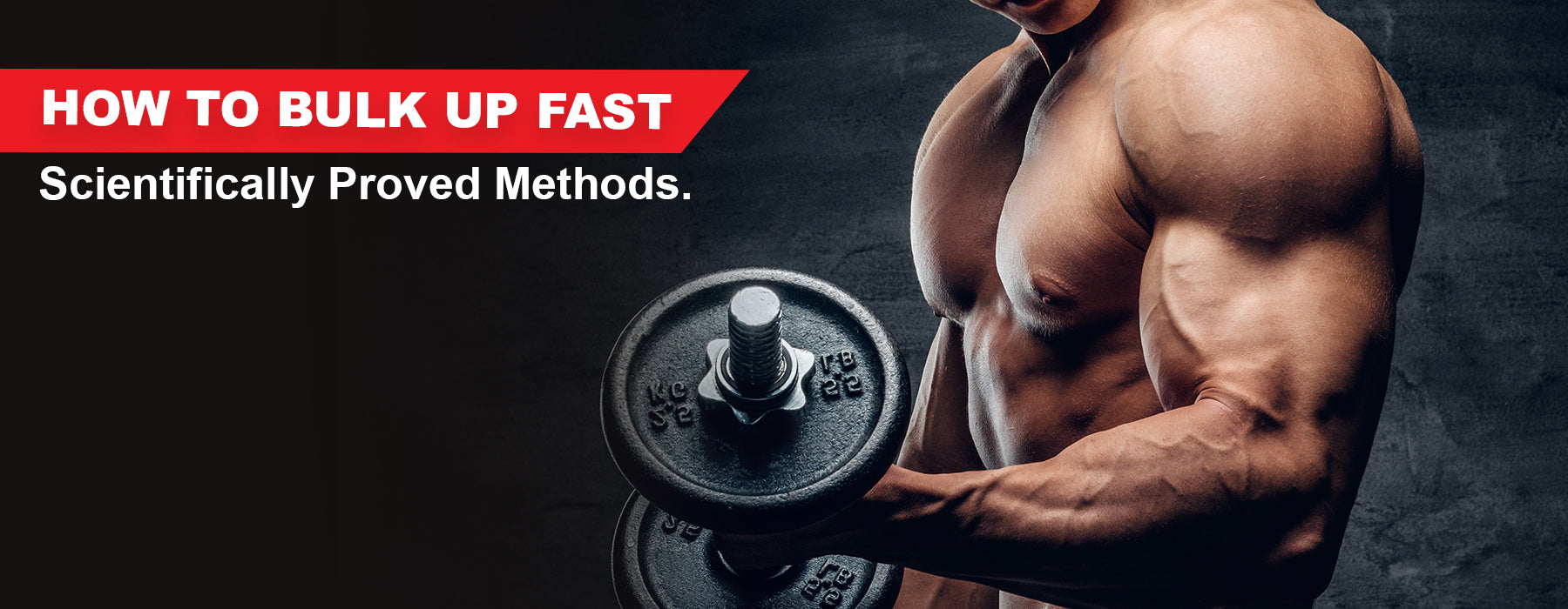 How to bulk up the right way Scientifically Proven Methods