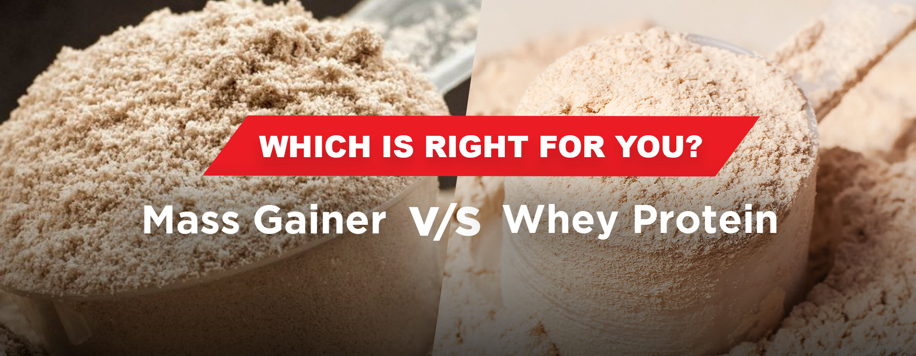 Gainer V Gainer Vs Whey Protein at Dianna Wagner blog